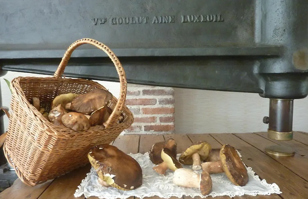 Domaine De La Tannerie-1