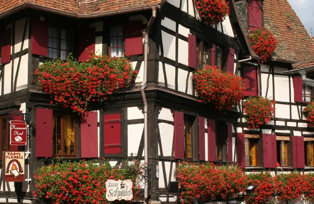 Hôtel Restaurant Zum Schnogaloch-1