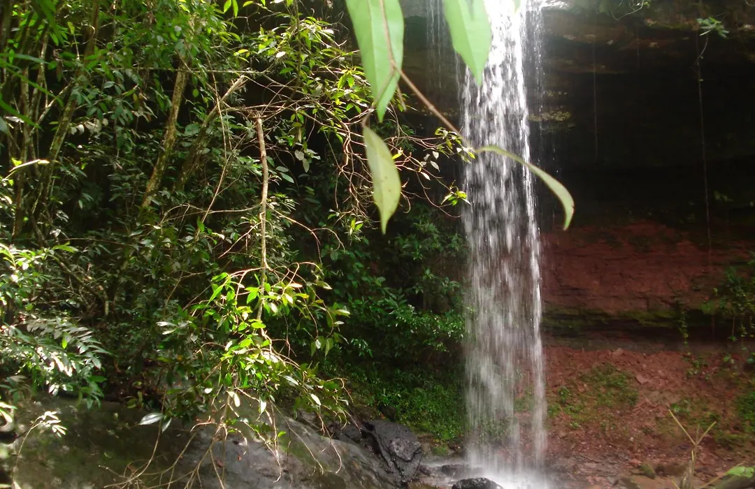 Pousada Jardim da Chapada-1