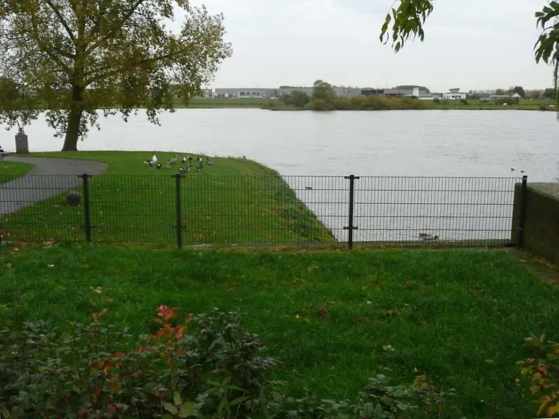 De Zilveren Karper-1