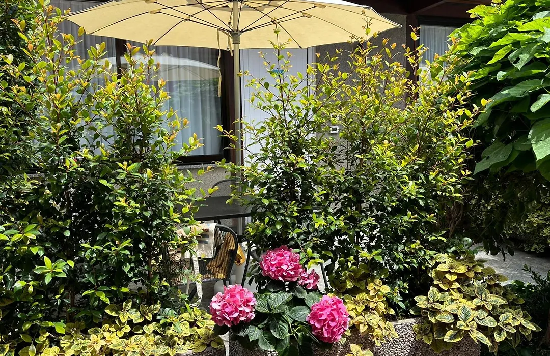 Hotel Delle Rose-1