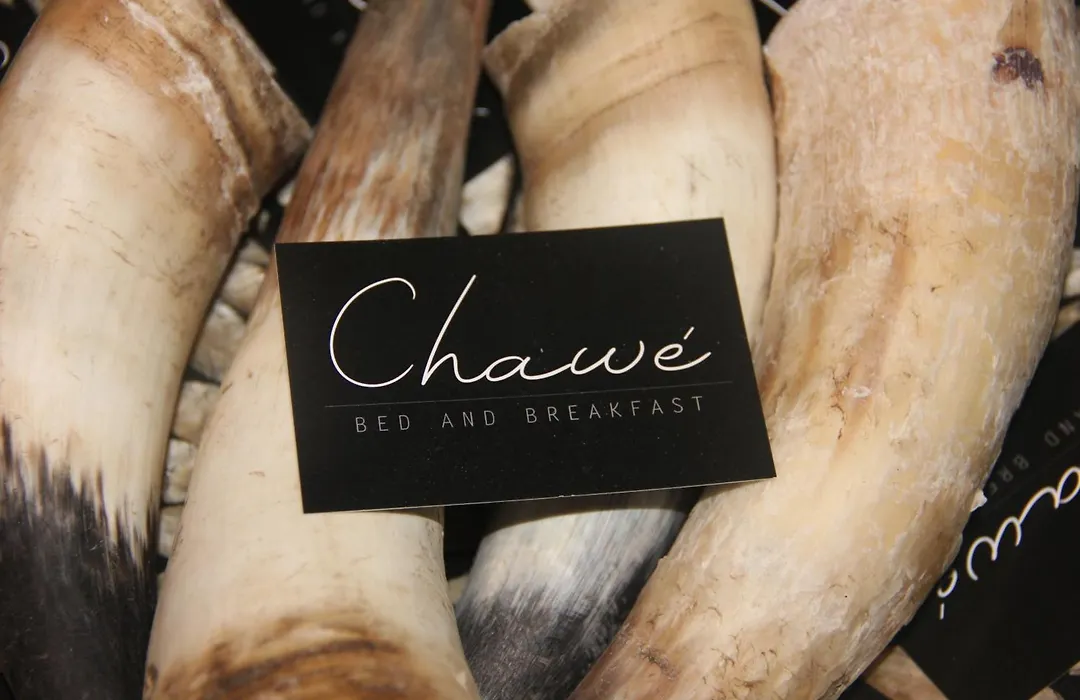 B & B Chawe-1