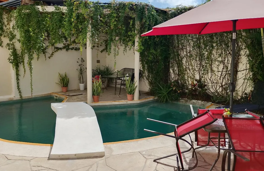 Bed&Breakfast Pecarí-1