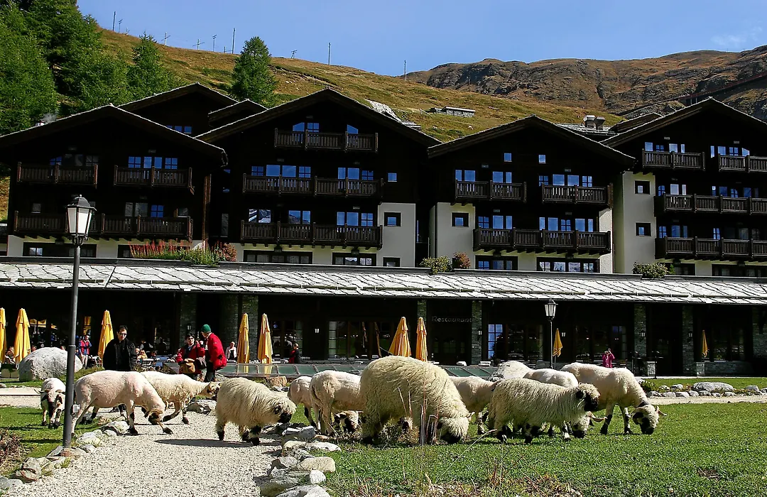Riffelalp Resort 2222m-1