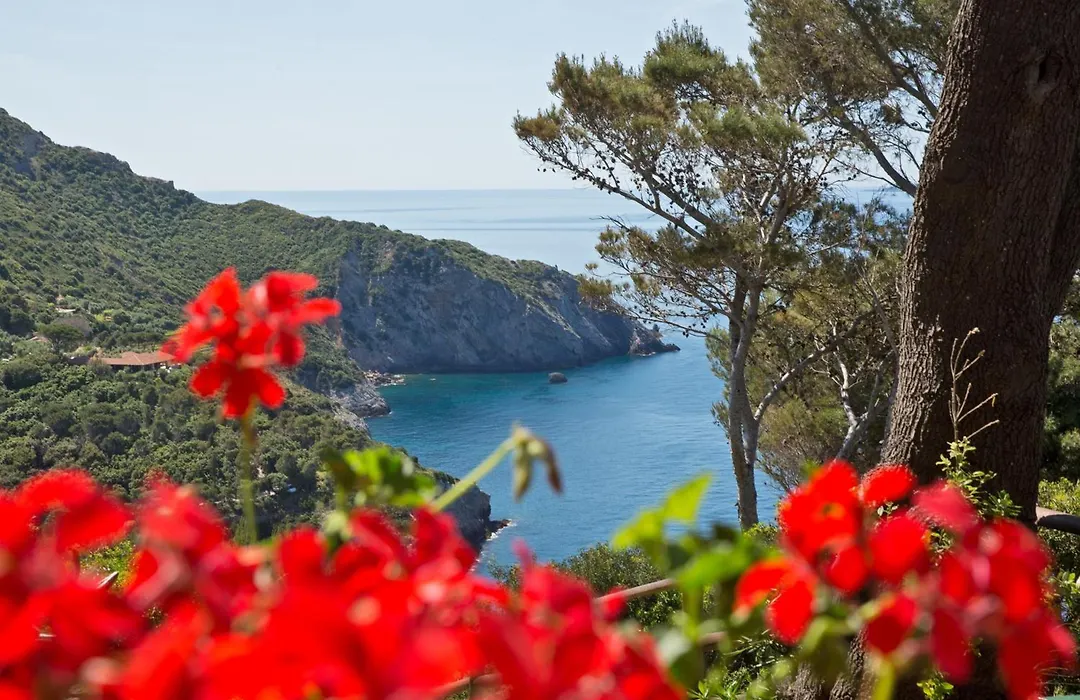 Boutique Hotel Torre Di Cala Piccola-1