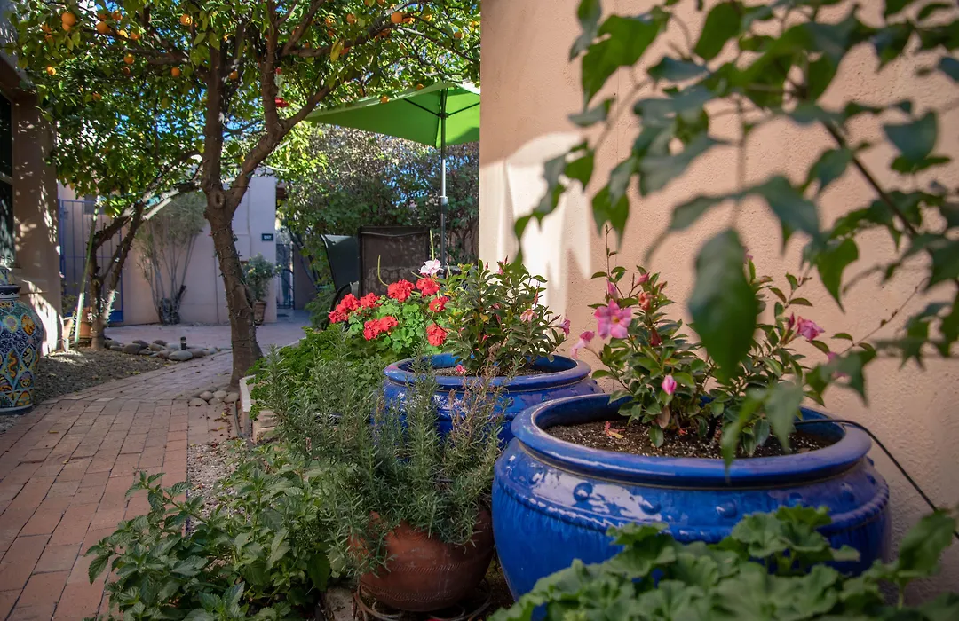 Adobe Rose Inn-1