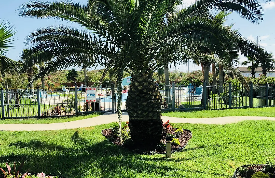 Days Inn By Wyndham Port Aransas Tx-1