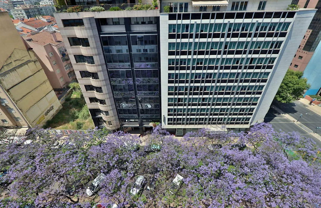TURIM Ibéria Hotel-1