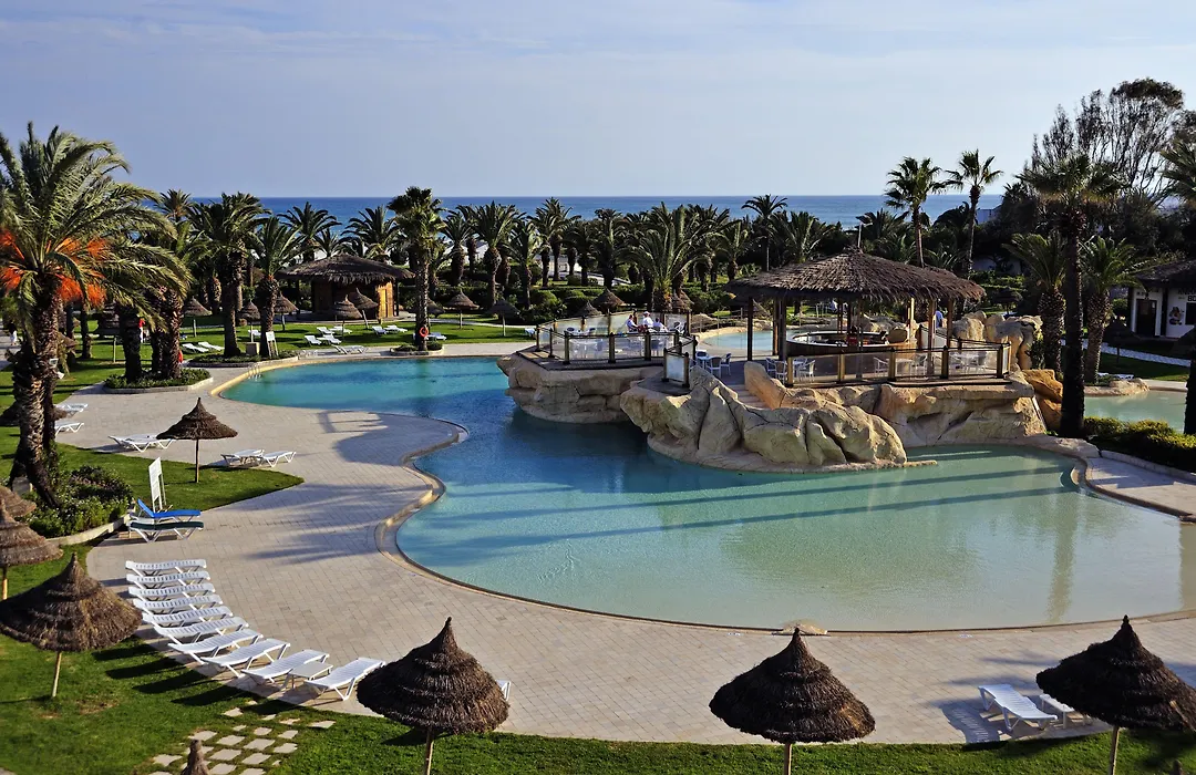 Sentido Phenicia-1