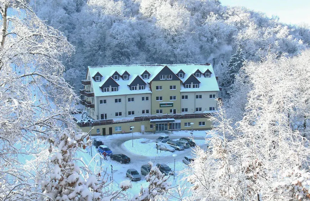 REGIOHOTEL Schanzenhaus Wernigerode-1