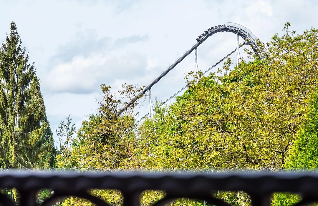 Hotel Casa Rustica - Eintrittskarten für den Europapark erhalten Sie garantiert über uns!-1