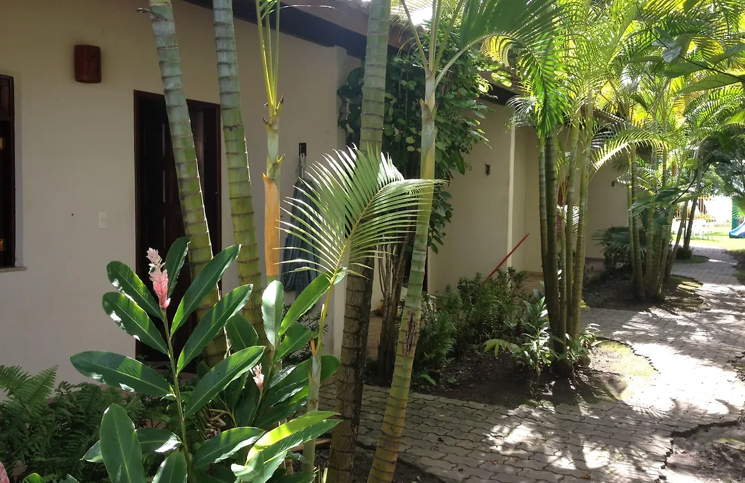 Pousada Tropicalia-1