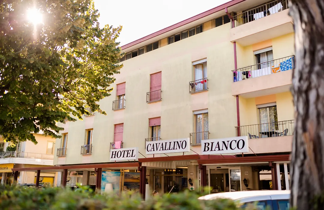 Hotel Cavallino Bianco-1