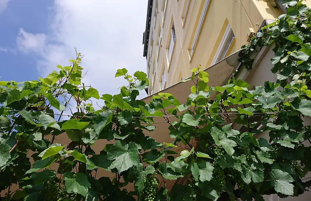 Hotel Pinger-1
