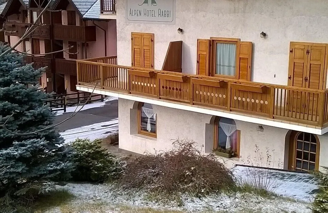 Alpen Hotel Rabbi-1