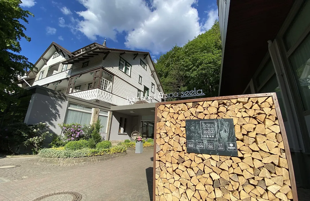 Harz Hotel & Spa Seela-1