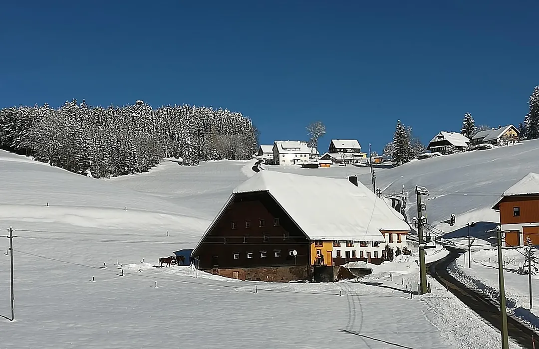 Gasthaus Pension Donishäusle-1