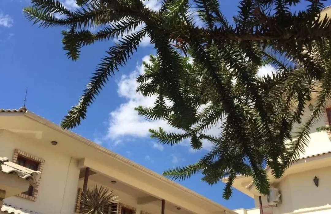 Villa Apart Hotel-1