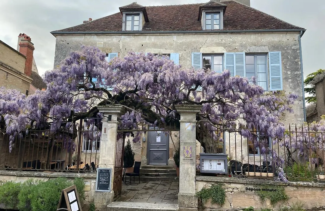 Les Glycines Vézelay-1