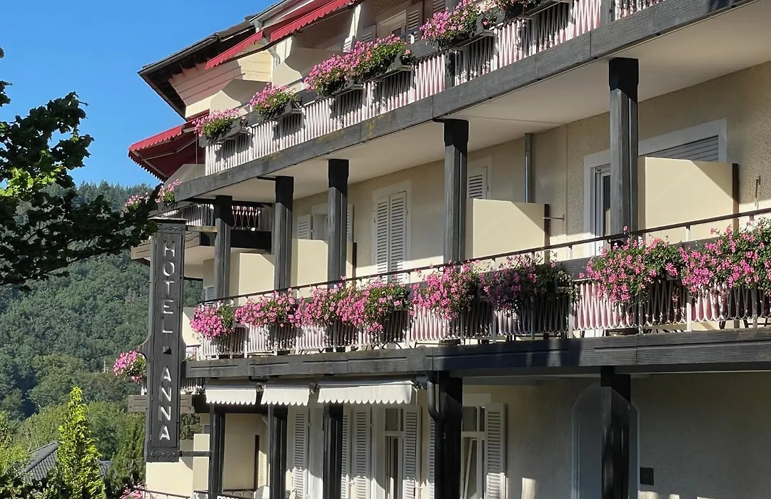 Hotel Anna-1