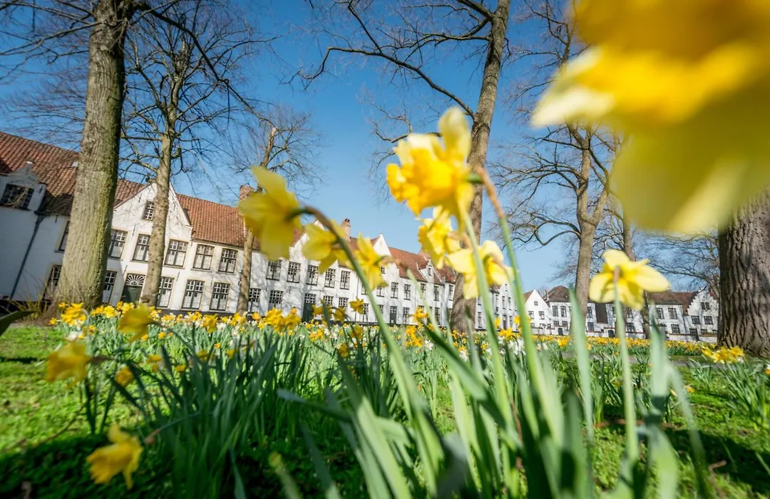 Hotel Le Bois De Bruges-1