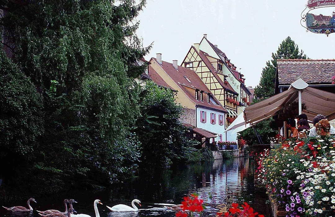 Ibis Colmar Centre-1