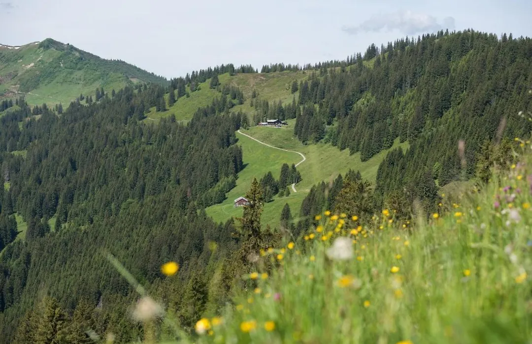 Riedbergerhorn - Gasthof&Ferienwohnungen-1