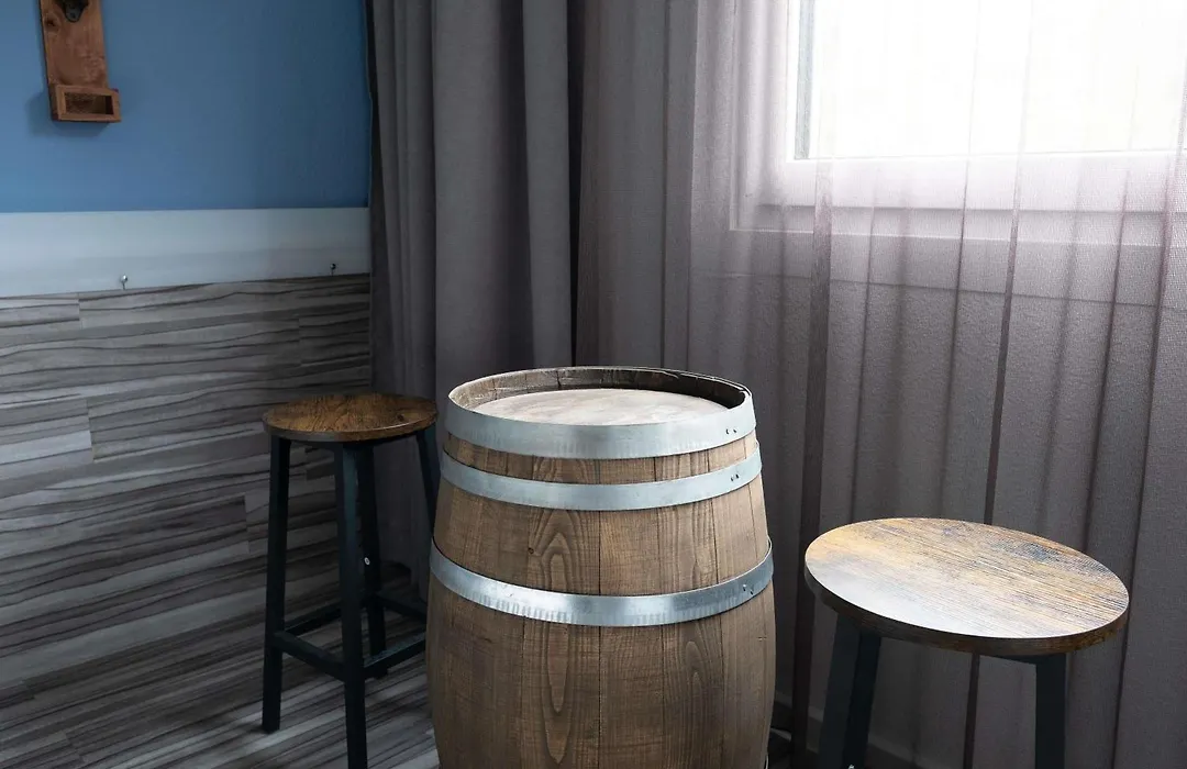 Ibis Styles Linz-1