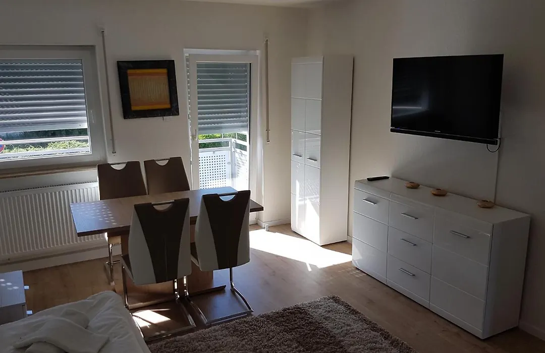 Hotel Zum Prinzen Sinsheim-1