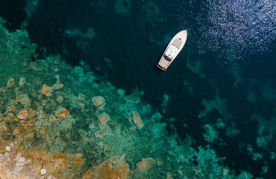 Il Pellicano-1