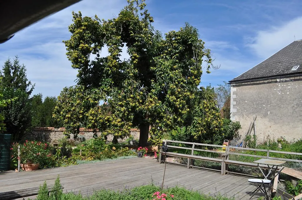 Le Cep en Sancerrois-1