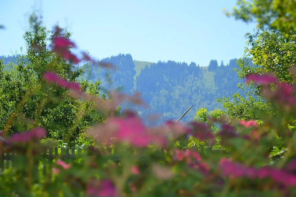 Pension Willibald-1
