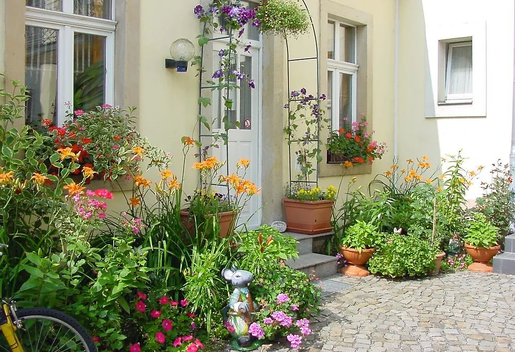 Pension Pieschen Dresden-1