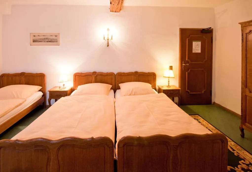 Burghotel-1
