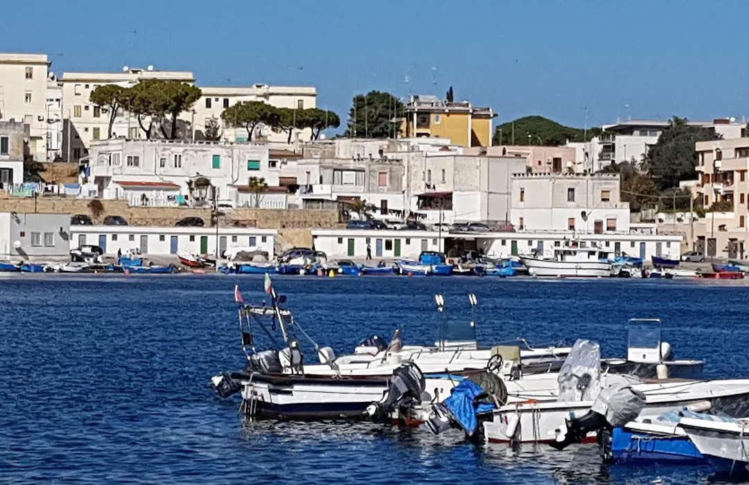 La nassa fitta camere-1