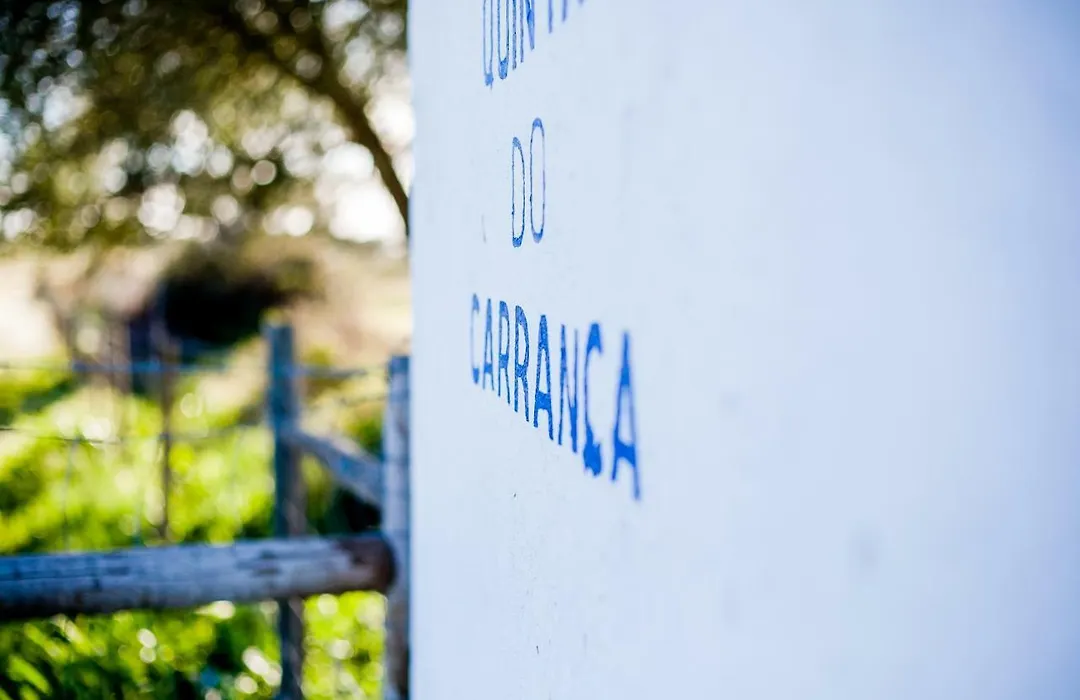 Carranca Lounge-1