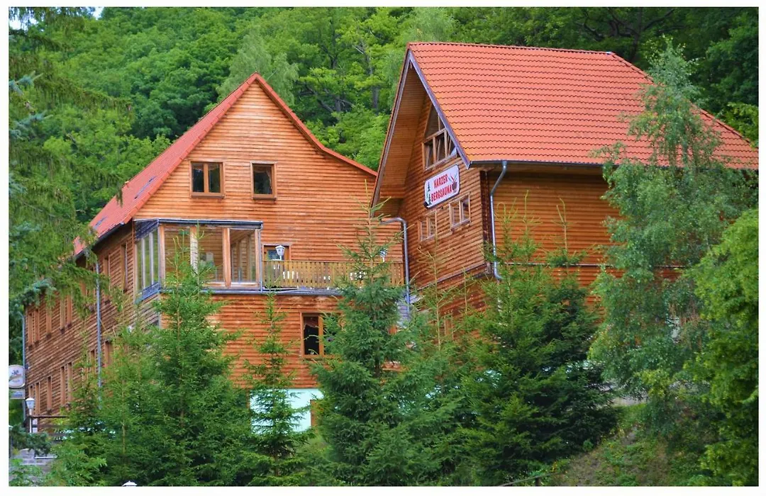 Waldhotel Altenbrak - Garni-1