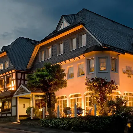 Hotel Sauerländer Hof-3