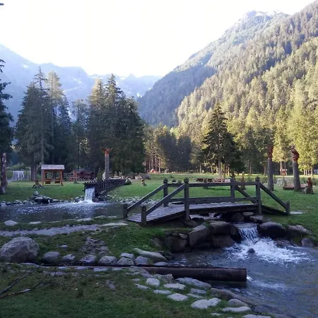 Hotel Pineta-3