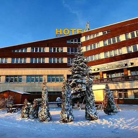 Hotel Lugsteinhof-2