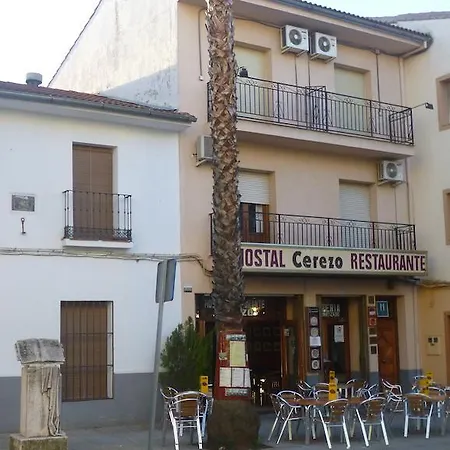 Hostal Cerezo-2