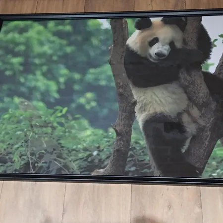 A 4 min du Zoo de Beauval La Maison à Partager Ch2 1er étage-3