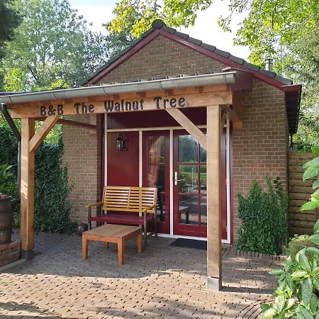 The Walnut Tree-2