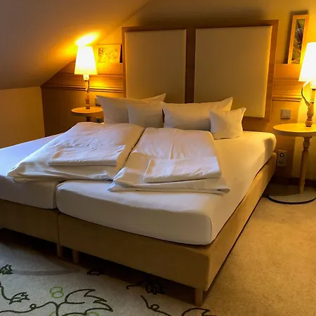 Hotel Magnetberg-2