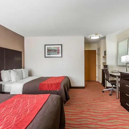 Comfort Inn Los Angeles Near Hollywood-2