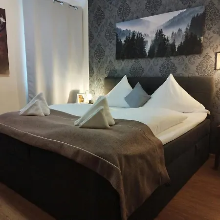 Stadthotel Deggendorf-2