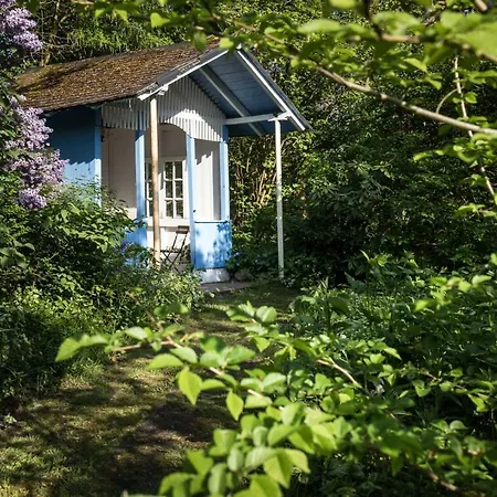 Wattlodge-3
