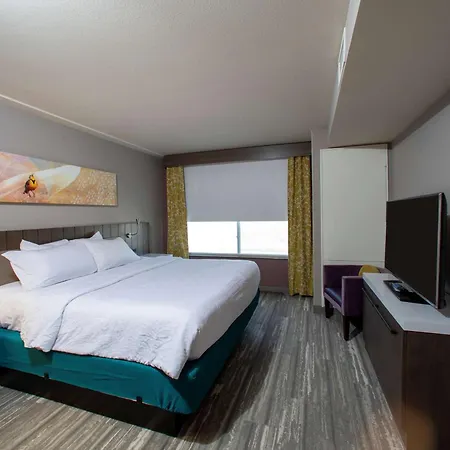Hilton Garden Inn Rapid City-3