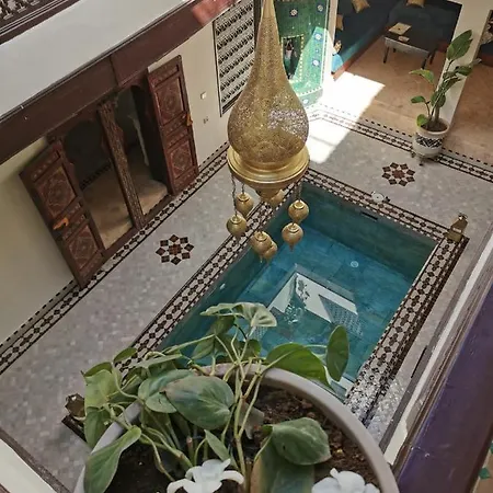 Riad Jolie-2