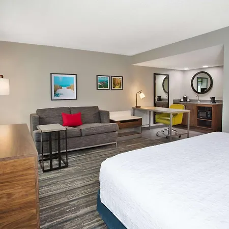 Hampton Inn & Suites Cape Coral / Fort Myers-3
